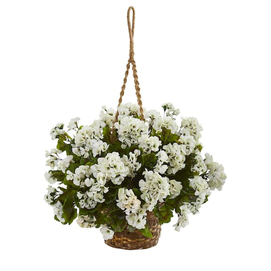 19" Geranium in Hanging Basket